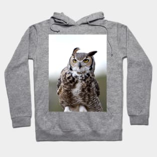 Windy Great Horned Owl Hoodie